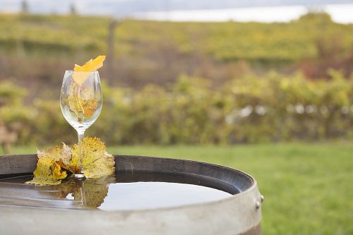 2016 British Coumbia Wine Awards