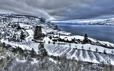 News and Updates - Okanagan Wine Festivals