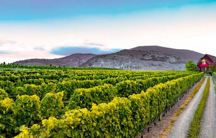 River Stone Estate Winery