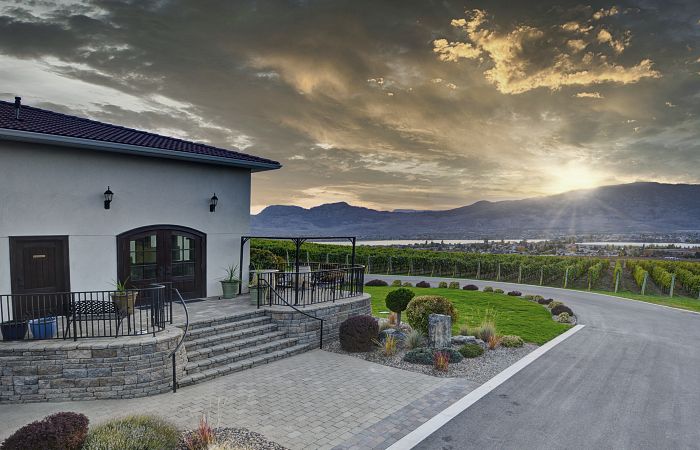 Moon Curser Vineyards