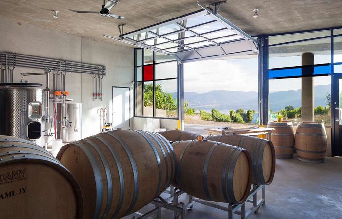 Terravista Vineyards