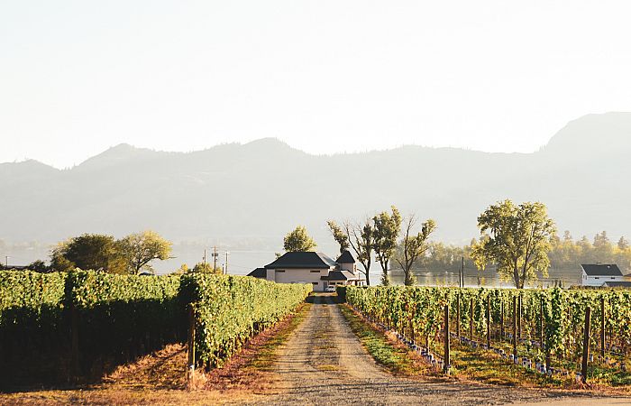 Lakeside Cellars 