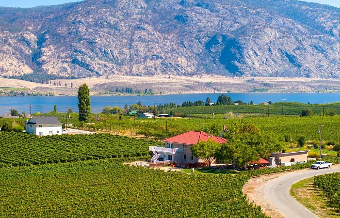 Mythology Vineyard