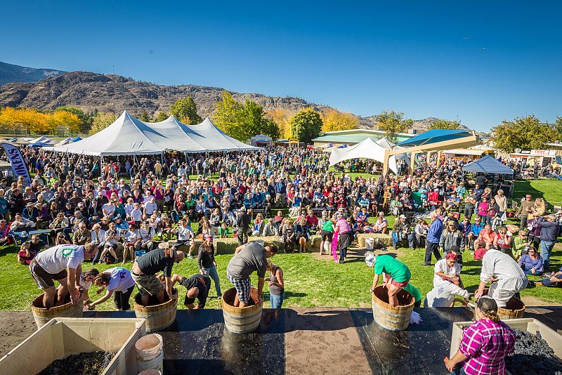 Festival of the Grape